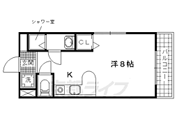 メゾン・マロニエ 4階/-