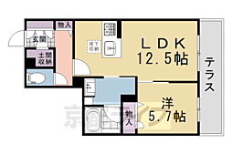グランメゾン ヒラキ 1階/-