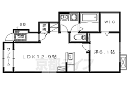 ステラハウス 1階/-