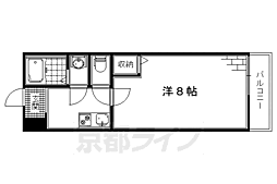 フラッティ龍大前 3階/-