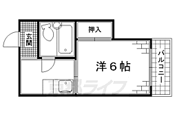 グリシーヌ丹波橋 1階/-