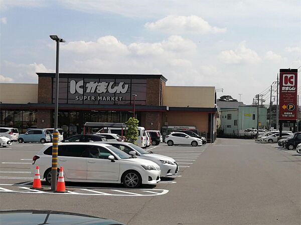 画像17:かましん 平松本町店（532m）