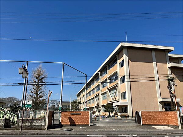 ヴィラージュエクセラン 502｜栃木県宇都宮市中今泉３丁目(賃貸マンション3LDK・5階・71.79㎡)の写真 その20