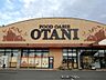 周辺：フードオアシスOTANI（オータニ） 五代店（1030m）