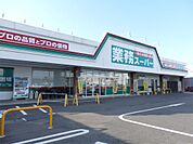 業務スーパー 小山ひととのや店（538m）