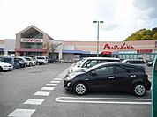 マルナカ 平島店（714m）