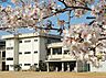周辺：岡山市立宇野小学校（803m）