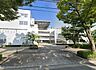 周辺：芝園中学校 800m