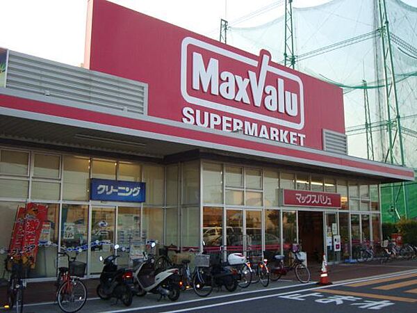 ウエイド　フルスII