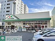 マルエツ成増南口店 460m