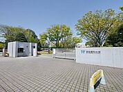 私立明治薬科大学 404m