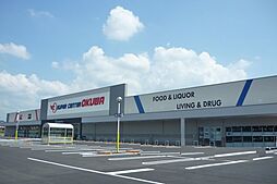 パイン スマイル