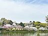 周辺：三ツ池公園？　290m？