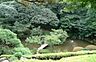 周辺：池田山公園（190m）