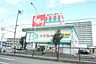 周辺：スギ薬局　松本店 1300m