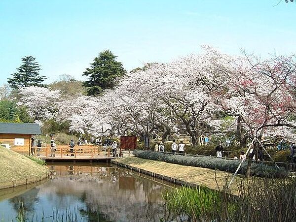 ミネルバB棟 ｜千葉県野田市清水(賃貸アパート2LDK・2階・54.45㎡)の写真 その17