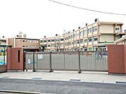 小学校 600m 板橋区立若木小学校(板橋区立若木小学校まで600m 徒歩8分。)