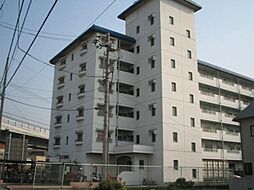 第87杉フラット