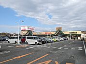 セブンスター三津店