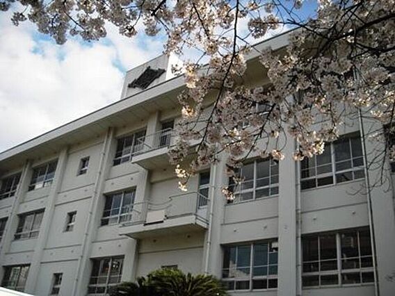 メイフェア南江戸プレミアム_内装_8