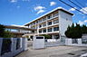 周辺：松山市立たちばな小学校
