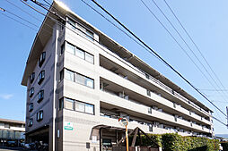 グラシアス道後