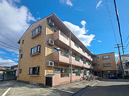 ラウンドストーン枝松