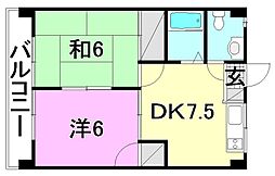 メゾン・しんわ 2DKの間取図画像