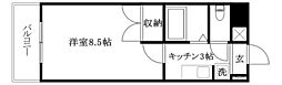 フェニックス東石井 1Kの間取図画像