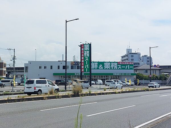 レオパレスＦ56 203 号室｜愛媛県松山市土居田町(賃貸アパート1K・2階・28.02㎡)の写真 その11