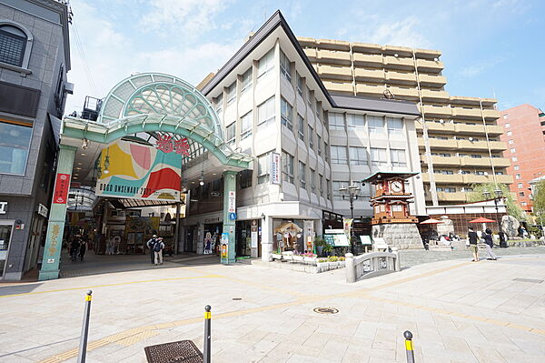 ノーブル道後 203 号室｜愛媛県松山市上市2丁目(賃貸マンション3LDK・2階・69.33㎡)の写真 その9