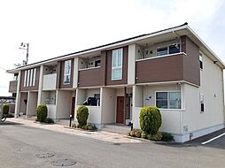 ビルゴ・プラシード