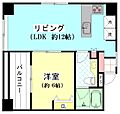 ヴィーナスヴァーゴ横濱9階15.0万円