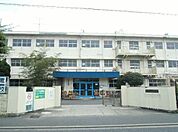 城野小学校(290m)