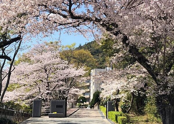 プリムローズ・佳音 203｜兵庫県姫路市西庄(賃貸アパート1LDK・2階・42.86㎡)の写真 その22