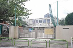 入新井第一小学校 427m