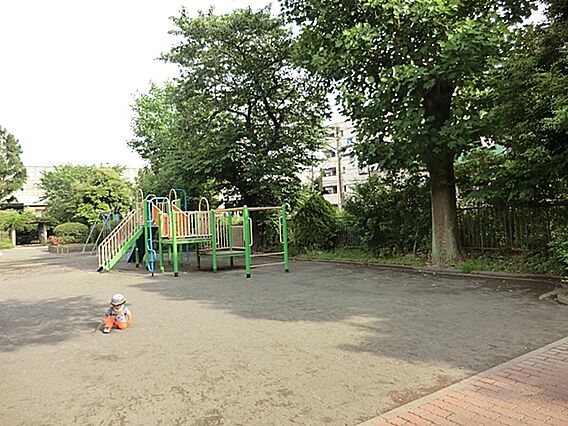 和田公園800...