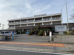 スターダスト