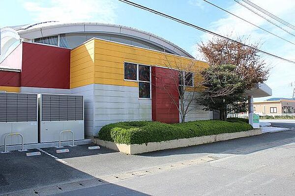 ラナンキュラス　I