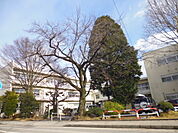 飯田市立上郷小学校（1338m）