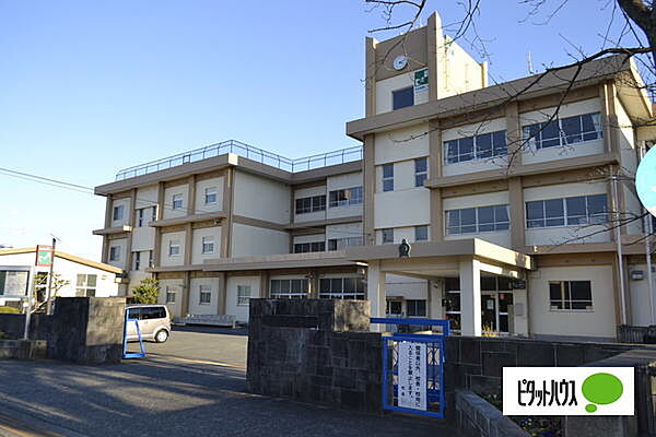 画像18:小学校「富士市立富士南小学校まで1008m」