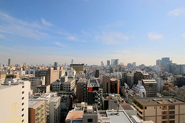 大阪府大阪市中央区東心斎橋1丁目(賃貸マンション1LDK・14階・50.17㎡)の写真 その25