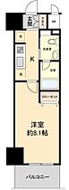 大阪府大阪市中央区日本橋2丁目14-12（賃貸マンション1K・2階・25.82㎡） その2