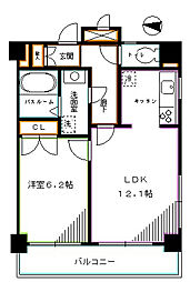 東京メトロ丸ノ内線 新中野駅 徒歩6分の賃貸マンション 8階1LDKの間取り