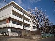 横浜市立上飯田中学校800m