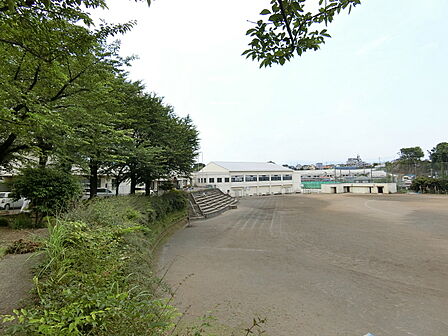 座間市立南中学校500m