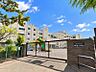周辺：大和市立柳橋小学校600ｍ