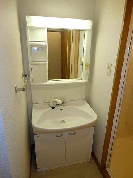 画像16:広い洗面スペース