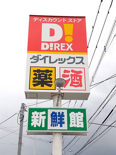 画像29:【ディスカウントショップ】ダイレックス 三潴店まで1609ｍ