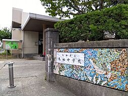 ステラコート宿